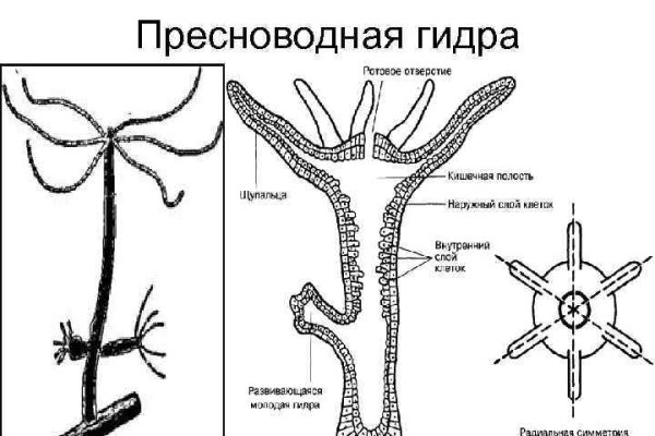 Сайт мега магазин закладок москва