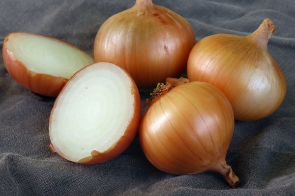 Ссылка на сайт omg omg onion